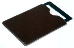 Чехол Совершенный - iPad наполовину вынутый